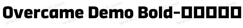 Overcame Demo Bold字体转换
